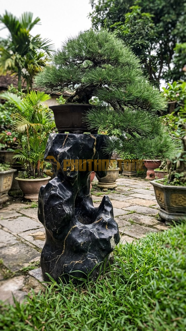 Đôn Kê Cây Cảnh Đá Đen Chỉ Nâu Thông Đen Nhật Bản Thác Đổ – Dài 30cm, Rộng 30cm, Cao 1M