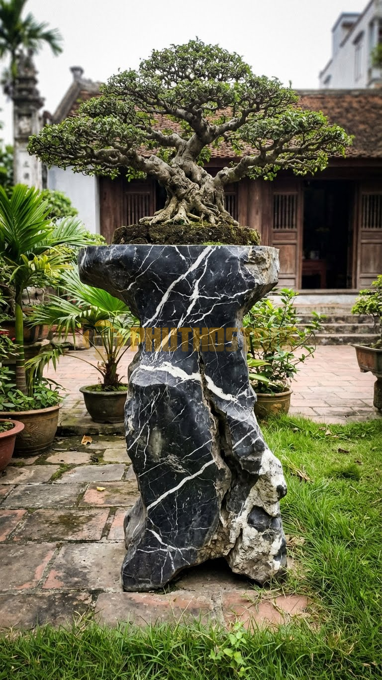 Đôn Kê Cây Cảnh Đá Đen Tia Chớp Sanh Phúc Am Dáng Long – Dài 50cm, Rộng 50cm, Cao 1M2