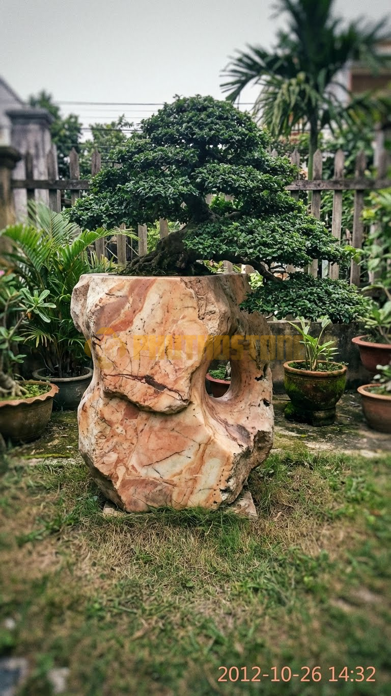 Đôn Kê Cây Cảnh Đá Hồng Cừa Dáng Song Thụ – Dài 70cm, Rộng 50cm, Cao 55cm