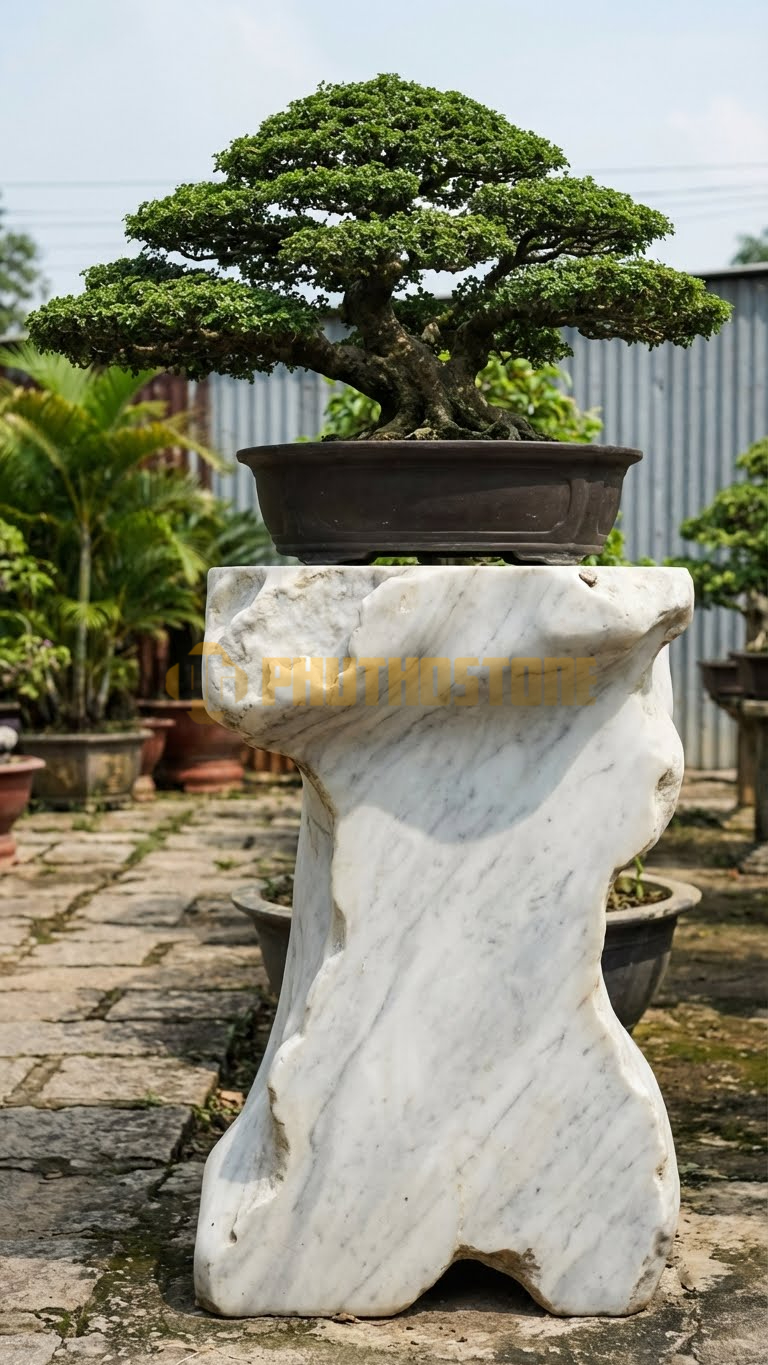Đôn Kê Cây Cảnh Đá Trắng Yên Bái Vạn Niên Tùng Tam Đa – Dài 60cm, Rộng 60cm, Cao 70cm