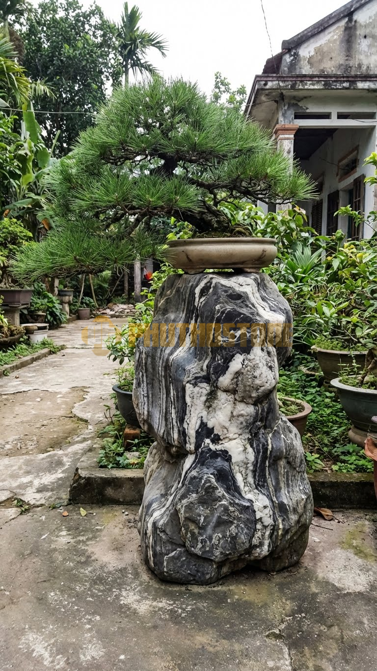 Đôn Kê Cây Cảnh Đá Tuyết Sơn Thông Đen Nhật Bản Thác Đổ – Dài 30cm, Rộng 30cm, Cao 1M