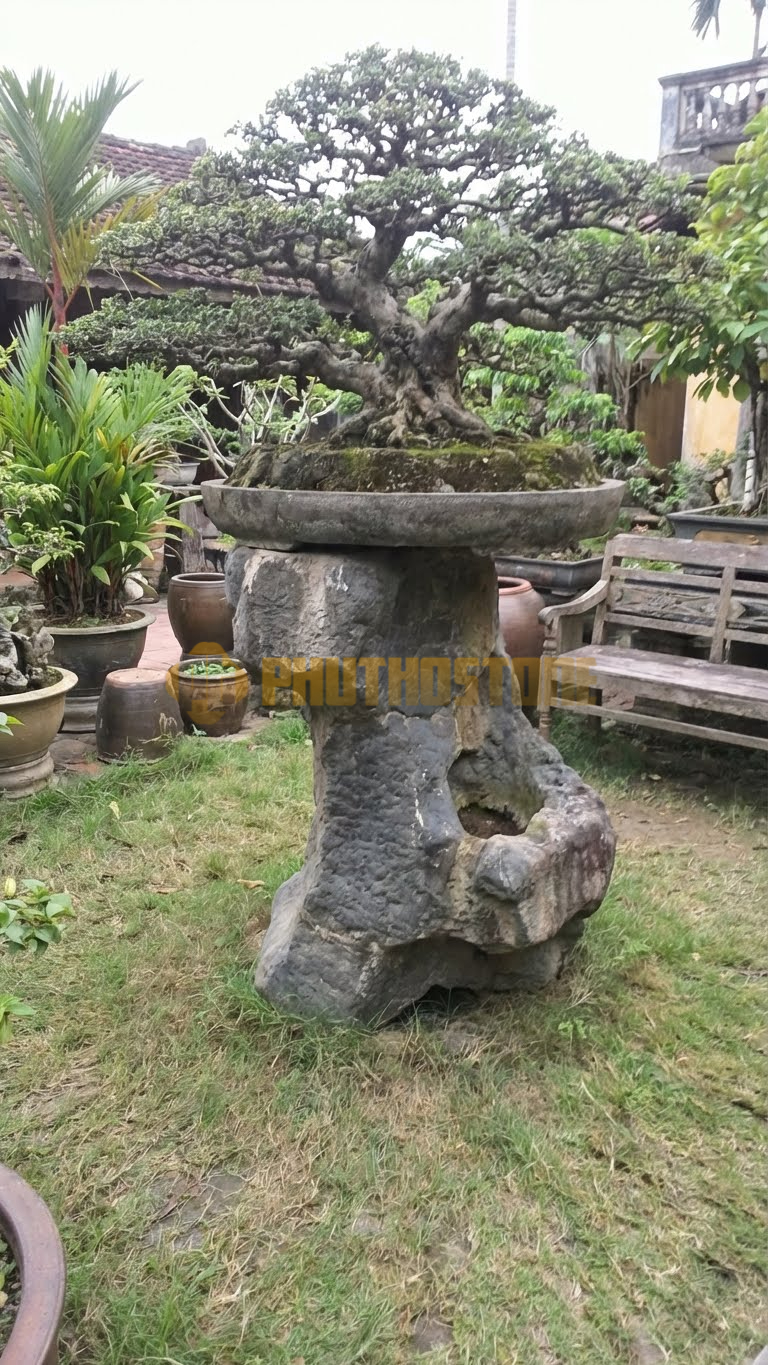 Đôn Kê Chậu Cây Đá Cuội Bonsai Sanh Nam Điền Dáng Làng – Dài 60cm, Rộng 60cm, Cao 50cm