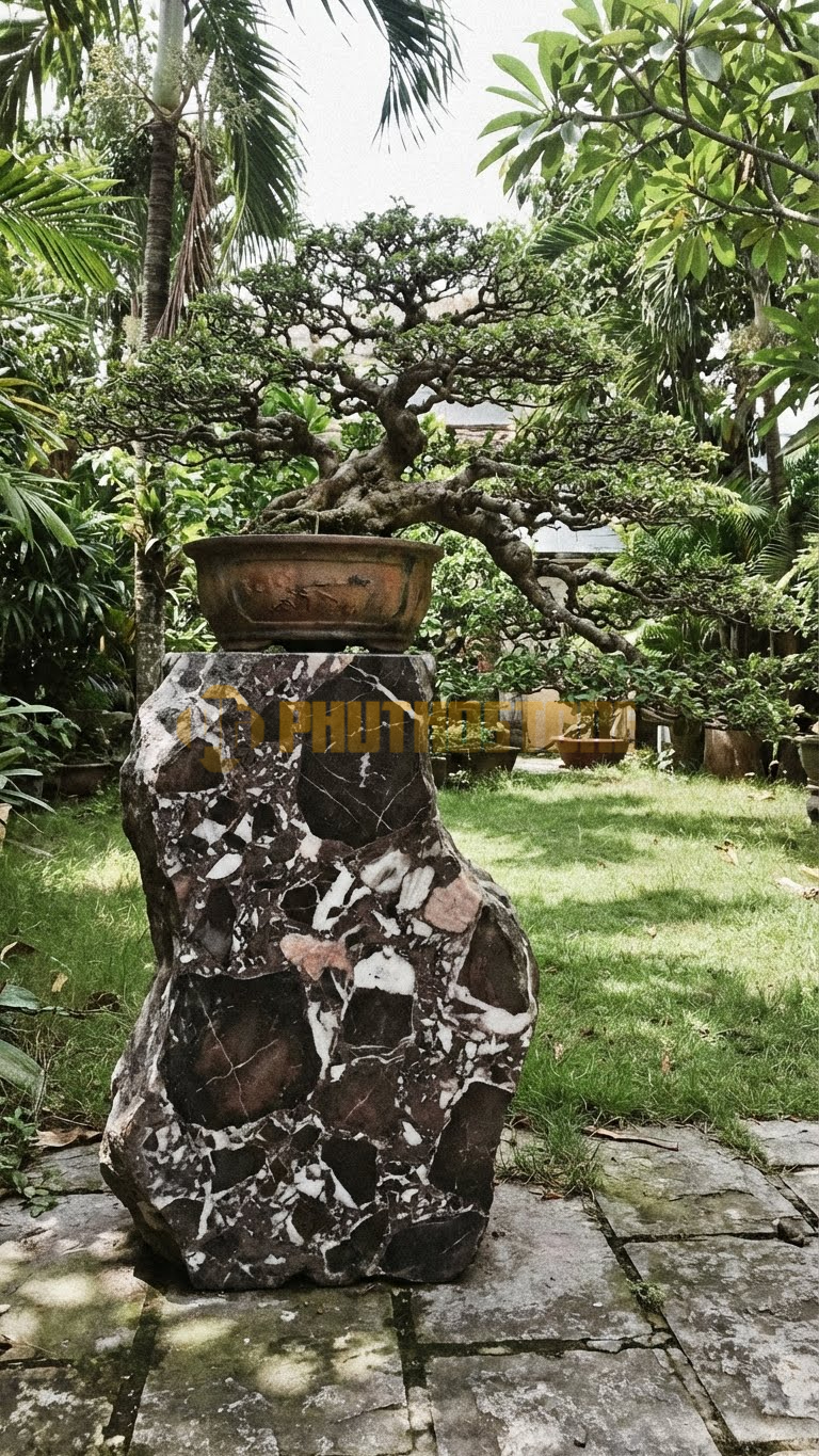 Đôn Kê Chậu Cây Đá Da Báo Bonsai Sanh Nam Điền Dáng Làng – Dài 60cm, Rộng 60cm, Cao 50cm