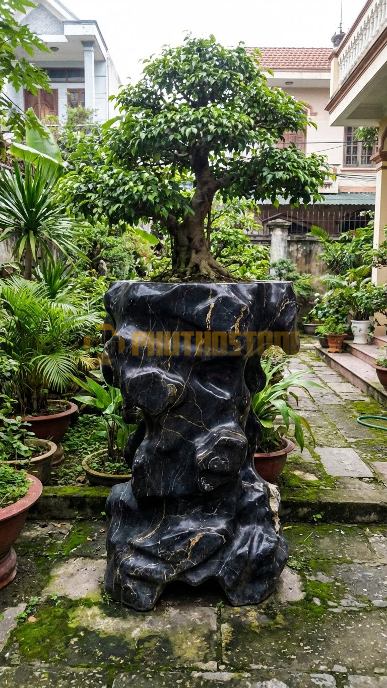 Đôn Kê Chậu Cây Đá Đen Chỉ Nâu Bonsai Tùng Bồng Lai Để Bàn – Dài 25cm, Rộng 25cm, Cao 25cm