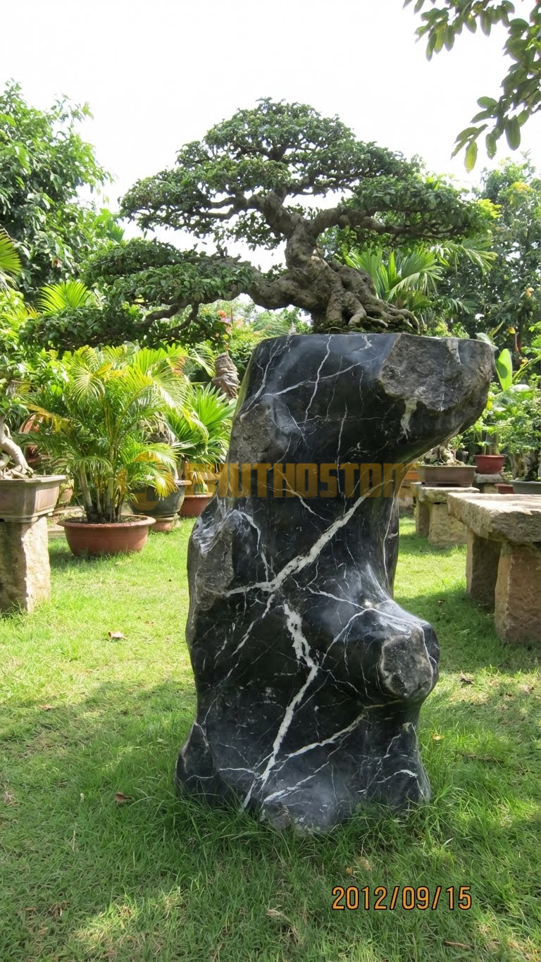 Đôn Kê Chậu Cây Đá Đen Tia Chớp Bonsai Sanh Cổ Dáng Lão Mai – Dài 55cm, Rộng 55cm, Cao 80cm