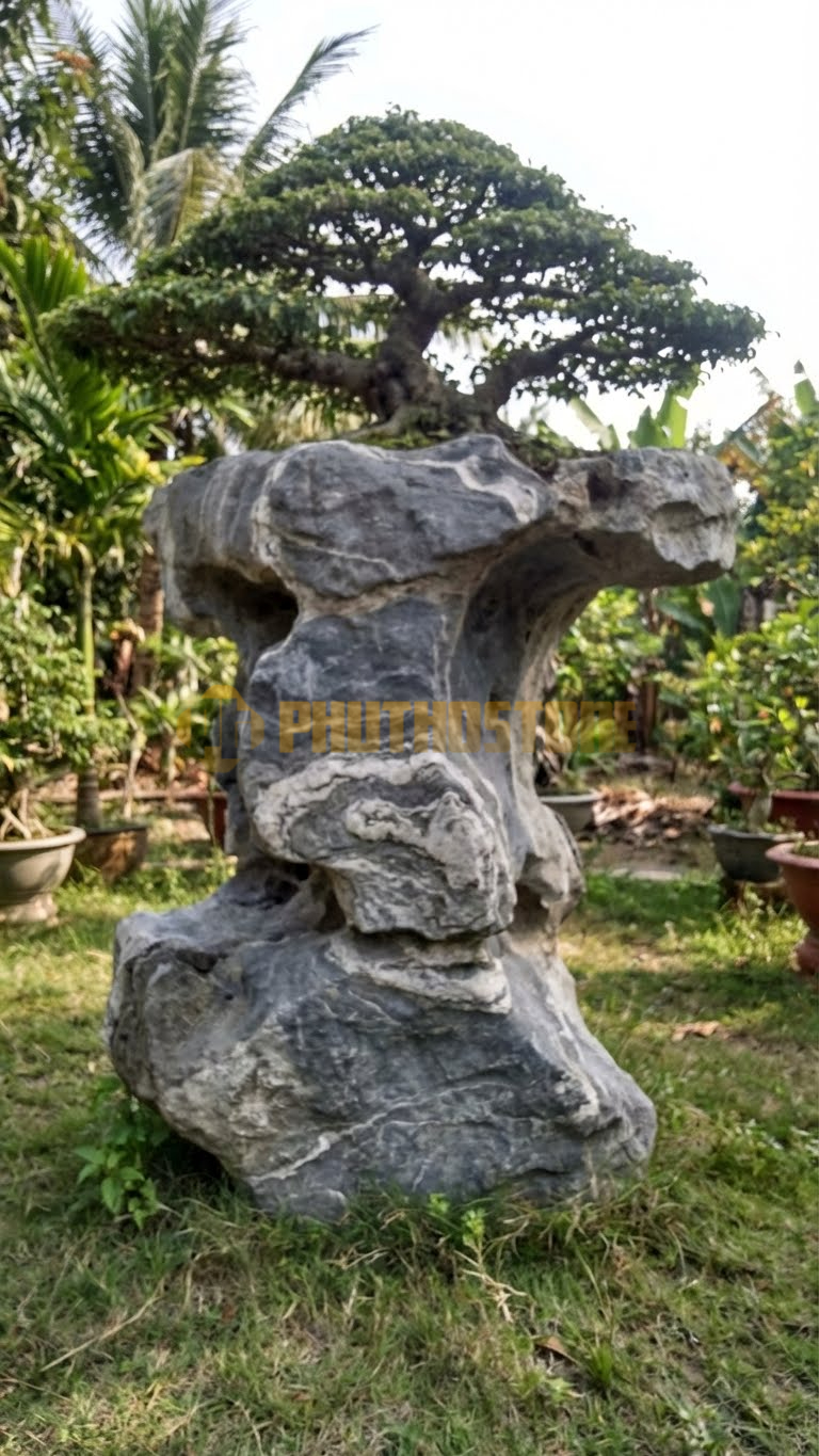 Đôn Kê Chậu Cây Đá Vân Mây Bonsai Si Nhật Dáng Trực – Dài 40cm, Rộng 40cm, Cao 70cm